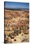 Bryce Canyon National Park, Utah-Paul Souders-Stretched Canvas