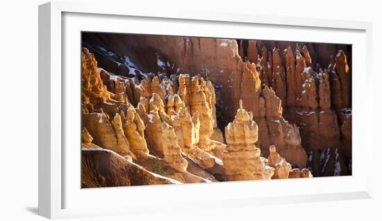 Bryce Canyon National Park, Utah-Lindsay Daniels-Framed Photographic Print