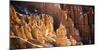 Bryce Canyon National Park, Utah-Lindsay Daniels-Mounted Photographic Print