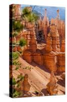 Bryce Canyon National Park Utah-Michael DeFreitas-Stretched Canvas