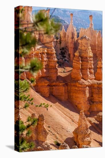 Bryce Canyon National Park Utah-Michael DeFreitas-Stretched Canvas