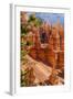 Bryce Canyon National Park Utah-Michael DeFreitas-Framed Photographic Print