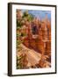 Bryce Canyon National Park Utah-Michael DeFreitas-Framed Photographic Print