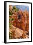 Bryce Canyon National Park Utah-Michael DeFreitas-Framed Photographic Print