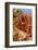 Bryce Canyon National Park Utah-Michael DeFreitas-Framed Photographic Print