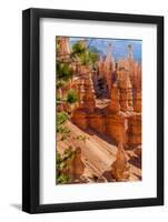 Bryce Canyon National Park Utah-Michael DeFreitas-Framed Photographic Print