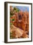 Bryce Canyon National Park Utah-Michael DeFreitas-Framed Photographic Print