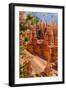 Bryce Canyon National Park Utah-Michael DeFreitas-Framed Photographic Print