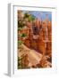 Bryce Canyon National Park Utah-Michael DeFreitas-Framed Photographic Print