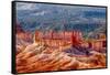 Bryce Canyon National Park Utah-Michael DeFreitas-Framed Stretched Canvas