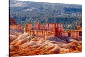 Bryce Canyon National Park Utah-Michael DeFreitas-Stretched Canvas