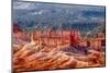 Bryce Canyon National Park Utah-Michael DeFreitas-Mounted Photographic Print