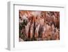 Bryce Canyon National Park, Utah-Michael DeFreitas-Framed Photographic Print