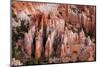 Bryce Canyon National Park, Utah-Michael DeFreitas-Mounted Photographic Print