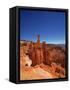 Bryce Canyon National Park-null-Framed Stretched Canvas