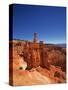 Bryce Canyon National Park-null-Stretched Canvas