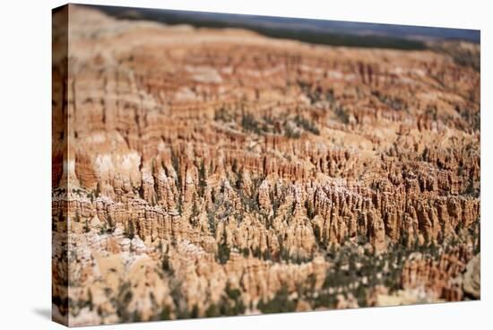 Bryce Canyon National Park-Paul Souders-Stretched Canvas