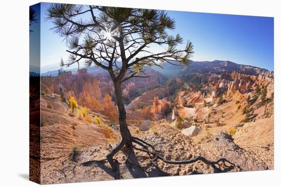 Bryce Canyon National Park-Jon Hicks-Stretched Canvas