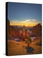 Bryce Canyon National Park-Jon Hicks-Stretched Canvas