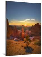 Bryce Canyon National Park-Jon Hicks-Stretched Canvas