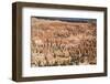 Bryce Canyon National Park-Paul Souders-Framed Photographic Print