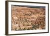 Bryce Canyon National Park-Paul Souders-Framed Photographic Print