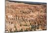 Bryce Canyon National Park-Paul Souders-Mounted Photographic Print
