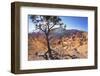 Bryce Canyon National Park-Jon Hicks-Framed Photographic Print