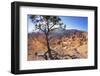 Bryce Canyon National Park-Jon Hicks-Framed Photographic Print