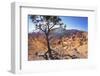 Bryce Canyon National Park-Jon Hicks-Framed Photographic Print