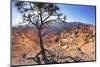 Bryce Canyon National Park-Jon Hicks-Mounted Photographic Print