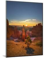 Bryce Canyon National Park-Jon Hicks-Mounted Photographic Print