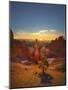 Bryce Canyon National Park-Jon Hicks-Mounted Photographic Print