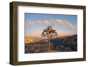 Bryce Canyon National Park-Jon Hicks-Framed Photographic Print