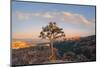 Bryce Canyon National Park-Jon Hicks-Mounted Photographic Print