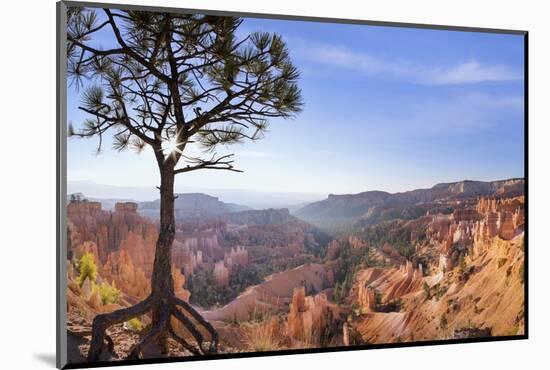 Bryce Canyon National Park-Jon Hicks-Mounted Photographic Print