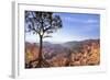 Bryce Canyon National Park-Jon Hicks-Framed Photographic Print