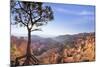 Bryce Canyon National Park-Jon Hicks-Mounted Photographic Print