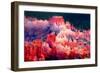 Bryce Canyon Sunrise I-Douglas Taylor-Framed Photographic Print