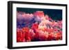 Bryce Canyon Sunrise I-Douglas Taylor-Framed Photographic Print