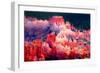 Bryce Canyon Sunrise I-Douglas Taylor-Framed Photographic Print