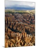 Bryce Canyon Tilt-Toula Mavridou-Messer-Mounted Photographic Print