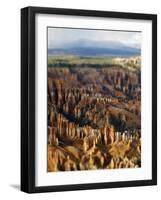 Bryce Canyon Tilt-Toula Mavridou-Messer-Framed Photographic Print