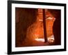 Bryce Canyon, Tree in the Canyon, Bryce Canyon N.P., Utah, USA-Thorsten Milse-Framed Photographic Print