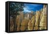 Bryce Canyon-Gordon Semmens-Framed Stretched Canvas