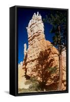 Bryce Canyon-Gordon Semmens-Framed Stretched Canvas