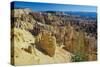 Bryce Canyon-Gordon Semmens-Stretched Canvas