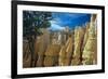 Bryce Canyon-Gordon Semmens-Framed Photographic Print