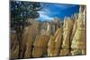 Bryce Canyon-Gordon Semmens-Mounted Photographic Print