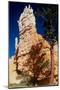 Bryce Canyon-Gordon Semmens-Mounted Photographic Print